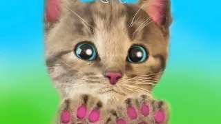 LITTLE KITTEN ADVENTURE CARTOON - LONG SPECIAL ANIMATED ADVENTURE JOURNEY FOR KIDS AND TODDLERS