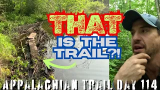 Walking on Water?! Appalachian Trail: Day 114 #atthruhike #at2023 #at2024 #hiking #appalachiantrail