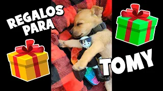 TOMY 🐶 Parte 4 | COMPRANDOLE REGALOS 🎁 #cachorro #tomy #cute #puppy #love #viral #perritos #regalos