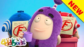 ODDBODS | Study Buddies | Cartoons For Kids