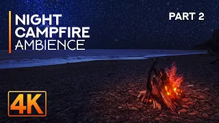 4K Night Campfire on Rialto Beach - 8HRS Relaxing Sounds of Night Ocean and Crackling Fire - Part #2