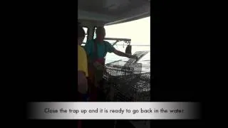 Maine Lobster Mobsters -  Lobster Fishing Off the Coast of Maine