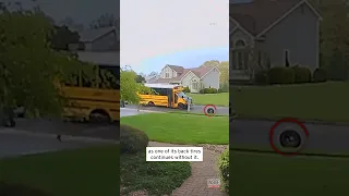 Tire Rolls Off School Bus Full of Children #shorts