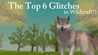 Top 6 Glitches of 2023 // Wildcraft