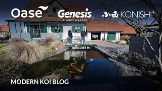 Modern Koi Blog #5926 - Jürgens sehr alter und 21.000 Liter großer Teich mit Traumwasser