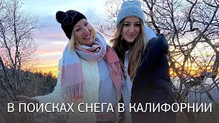 В поисках снега в Калифорнии // Семейный влог Да, Америка! #68