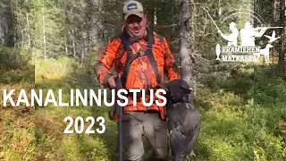 Kanalinnustusta 2023 | Terveisiä Sallasta | Uusia koiravarusteita #metsästys #dogs #hunting