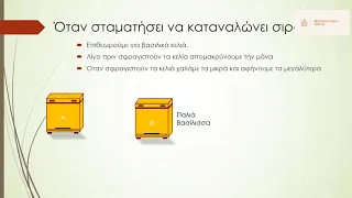 Βασιλοτροφία για λίγες Βασίλισσες