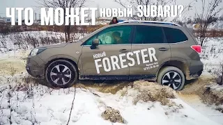 ЧТО МОЖЕТ НОВЫЙ SUBARU FORESTER 2017 против старых СУБАРУ?  ОФФРОАД на СУБАРУ ФОРЕСТЕР