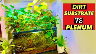 🌿Dirt Substrate vs Plenum Aquarium🐟 2 different tanks -Which one is Better?