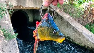 I was NEARLY SPOOLED by the Spillway MONSTER!!! (Giant Fish!)