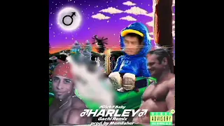 WhyBaby? - HARLEY (♂Gachi♂ Remix) (prod. by Memlisher)