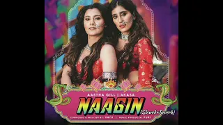 Naagin (Slowed+Reverb)- Vayu, Aastha Gill, AKASA, Puri