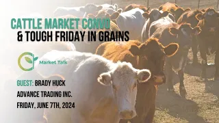 Cattle Market Convo & Tough Day in Grains on Friday