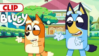 Bluey Season 3 Episode 9 "Magic" Episode Clip | @disneyjunior  | @BlueyOfficialChannel