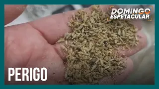 Alerta: droga K9 transforma usuários em "zumbis"