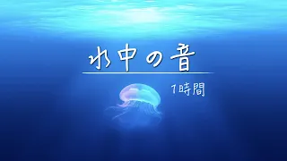 【ヒーリングBGM】「水中を泳ぐ」ぐっすり眠れる波の音！睡眠 癒し 瞑想 読書 リラックス 勉強用BGM