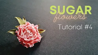 📍 Gumpaste Peony tutorial // How to make a peony from sugar paste for cake decorating #4