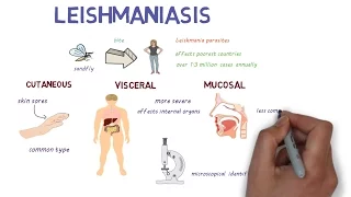 What is Leishmaniasis? An introduction and overview