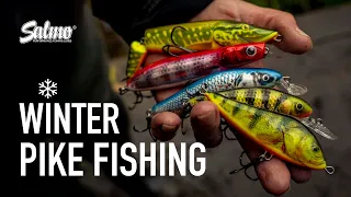 PIKE FISHING WITH HARD LURES IN WINTER | How to catch pike on crankbaits