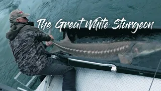 BCOSF Season 13 Ep 11 | The Great White Sturgeon | Sturgeon Fishing in the Fraser Valley