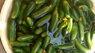 🥒Бодринг тузлашнинг энг осон ва камхарж йули 💯💥👍👍🥒шакарсиз!!! 🧄