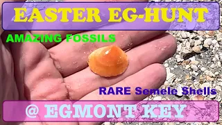 Easter Eg Hunt at EGMONT KEY