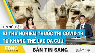 Bản tin sáng 1/9 | Bỉ thử nghiệm thuốc trị Covid-19 từ kháng thể Lạc Đà Cừu | FBNC