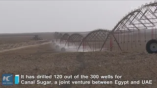 Chinese firm drills wells in Egyptian desert to help reclaim land for sugar plant