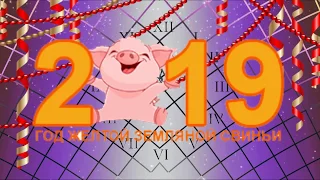 С 2019 Новым Годом! Годом свиньи!