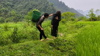 On the way to the forest to look for bees, the man met a stranger who looked like the child's mother