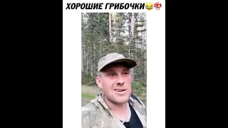 хорошие грибочки