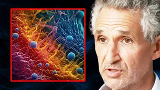 5 Things That Destroy Your Microbiome | Tim Spector