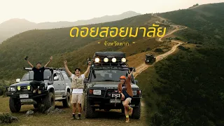 Doi Soi Malai, route update 2024. What level of brutal driving is the 4x4 line? Don't miss it.