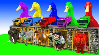 5 Giant Duck,Cow, Lion, chicken, piglet,dinosaur,tiger, Sheep, Transfiguration funny animal 2024