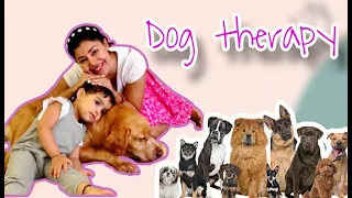 "How Dogs Became My toddlers Best Therapy: A Heartwarming video | HINDI | WITH ENGLISH SUBTITLES