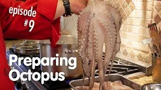 Preparing and Cooking your Octopus for use in any Recipe, How to Make it Tender