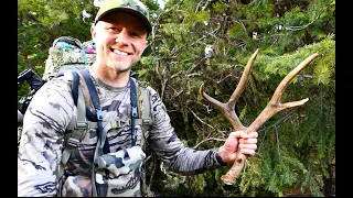 Almost Stepped on a Mule Deer Shed [Day 3 - Oregon Spring Bear 2018]