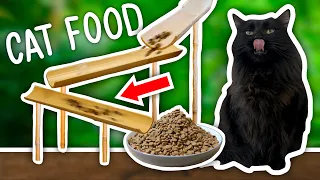 I Built A Cat-Feeding Contraption!