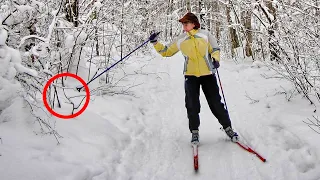 То, что нашли лыжники в лесу под снегом, повергло всех в ступор! Это просто невероятно!