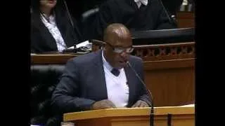 Hon The Minister of Health, Minister A. Motsoaledi - Deaths of Initiates Debate