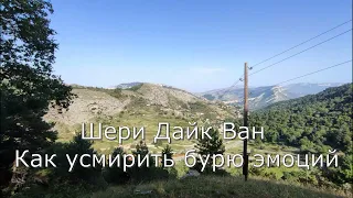 Глава 8 Шери Дайк Ван Как усмирить бурю эмоций