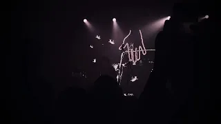 novo amor - birthplace (live in são paulo)