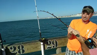 9-2-21 - Fishing Report and a King lost to boat - Seaview Fishing Pier