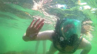 Snorkeling in Panama City Part 2