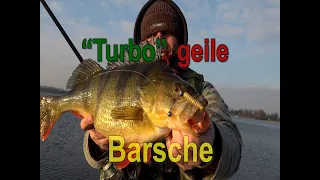 Turbo geile Barsche-ungekürzt