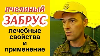 Пчелиный ЗАБРУС: лечебные свойства и применение / СОВЕТЫ ПАСЕЧНИКА АЛЕКСЕЯ МАТЮШКИНА 🍯🐝 / МЁДВЕД