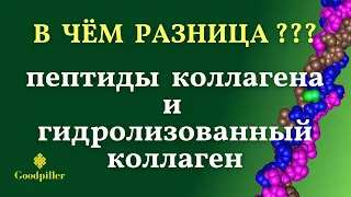 Пептиды коллагена.  Чем они отличаются от гидролизованного коллагена?