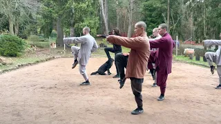 五步拳 5 Basic Stances of Shaolin Congfu Wu Bu Quan with Master Shi Heng Yi of Shaolin Temple Europe