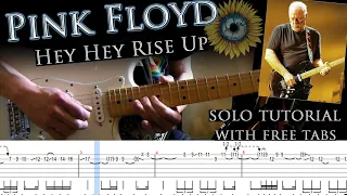 Pink Floyd feat. Andriy Khlyvnyuk - Hey Hey Rise Up solo lesson (with tablatures and backing track)